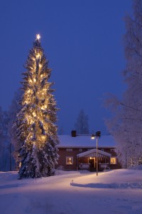AutereentupaMntt-VilppulaTammikuu